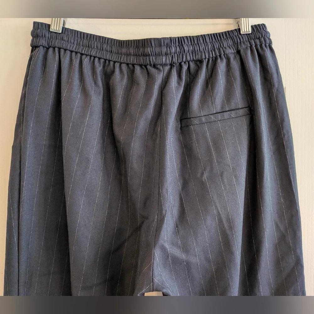 Free People Shakin All Over Pinstripe Cropped Pant Navy Blue Size‎ Academia S